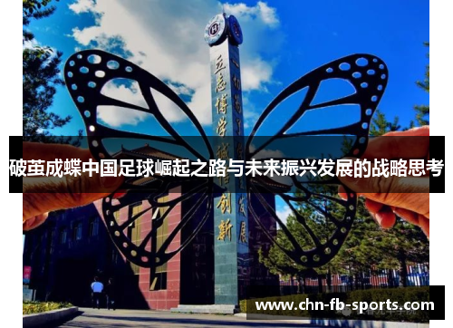 破茧成蝶中国足球崛起之路与未来振兴发展的战略思考 破茧成蝶中国足球崛起之路与未来振兴发展的战略思考