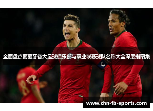 全面盘点葡萄牙各大足球俱乐部与职业联赛球队名称大全深度指南集 全面盘点葡萄牙各大足球俱乐部与职业联赛球队名称大全深度指南集