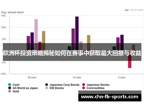 欧洲杯投资策略揭秘如何在赛事中获取最大回报与收益