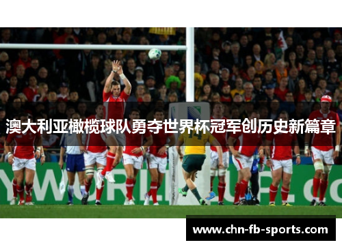 澳大利亚橄榄球队勇夺世界杯冠军创历史新篇章