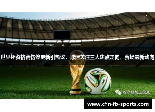 世界杯资格赛伤停更新引热议，球迷关注三大焦点走向，赛场最新动向