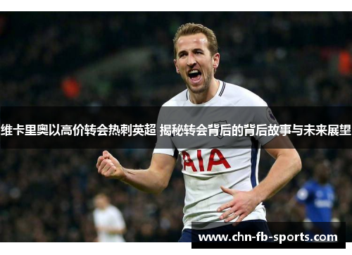 维卡里奥以高价转会热刺英超 揭秘转会背后的背后故事与未来展望